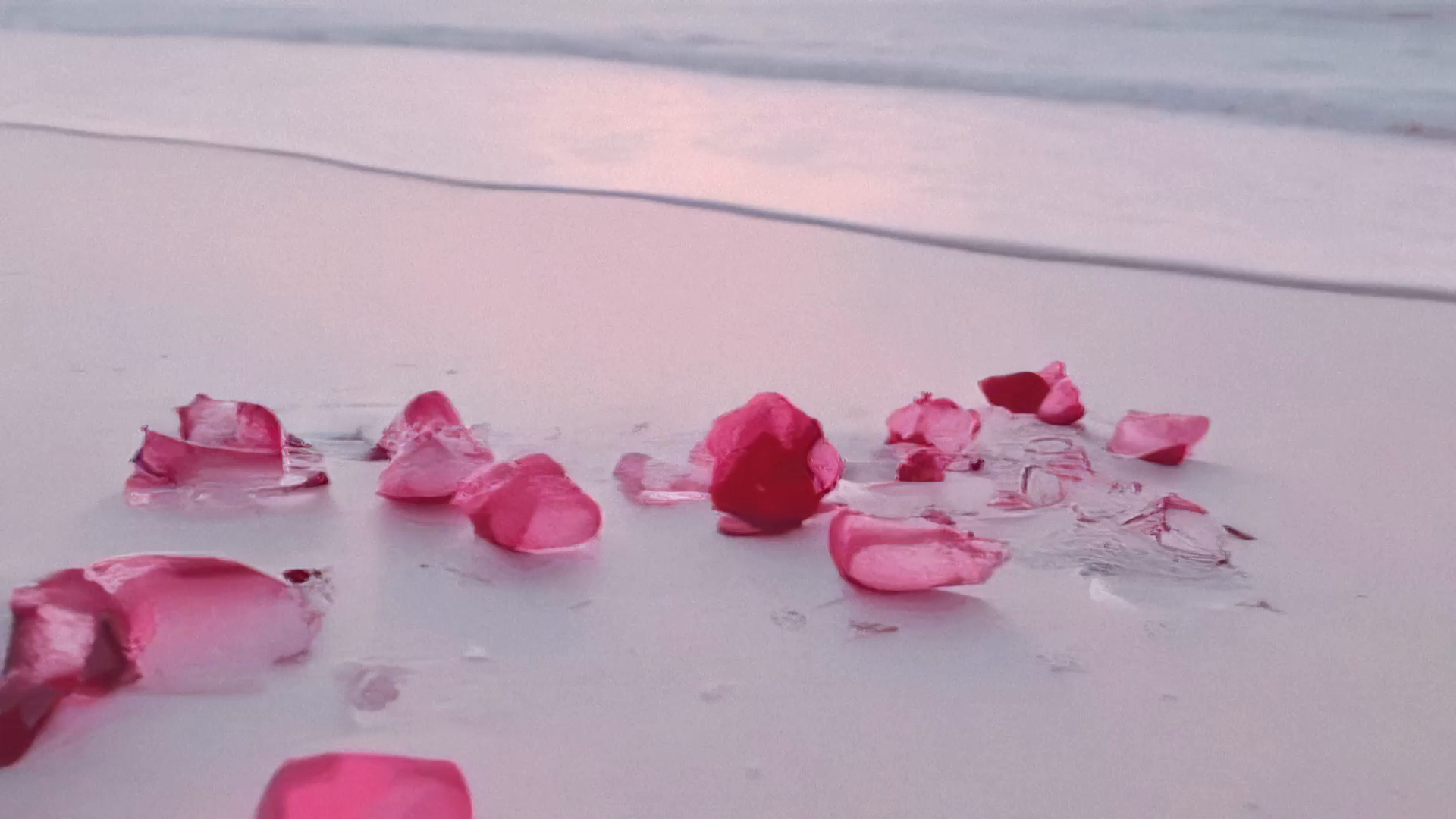 Flower Understand zeroone